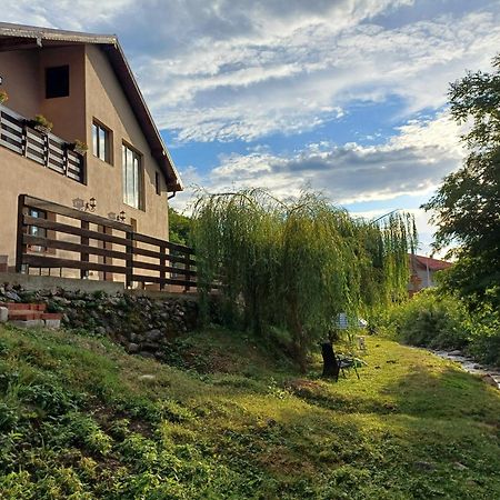 Apartamento Casa Radu Novaci-Străini Exterior foto