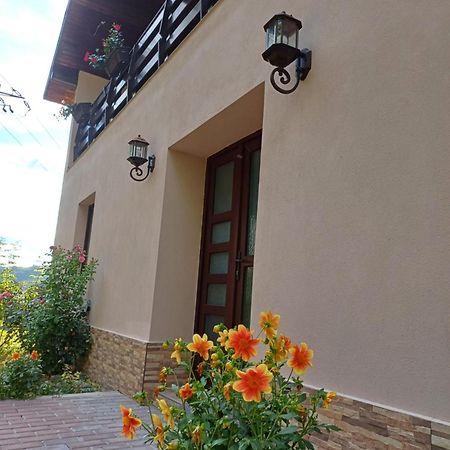 Apartamento Casa Radu Novaci-Străini Exterior foto
