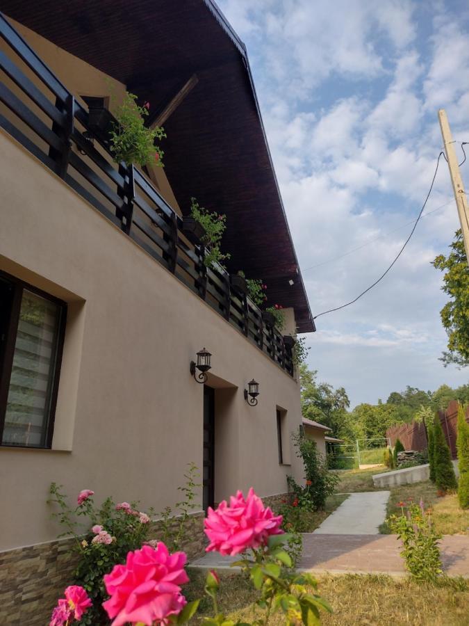 Apartamento Casa Radu Novaci-Străini Exterior foto