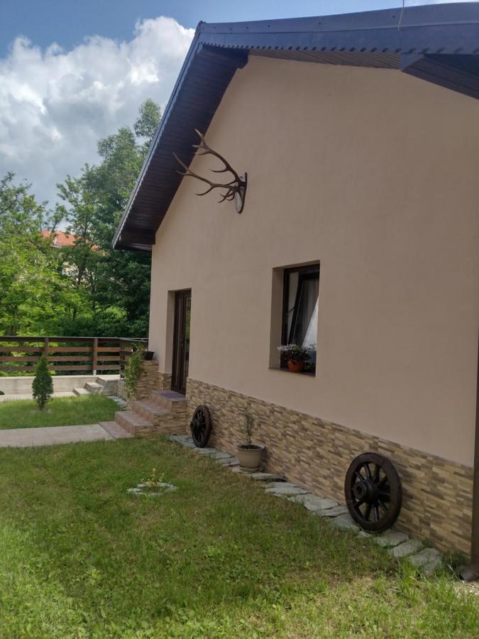 Apartamento Casa Radu Novaci-Străini Exterior foto