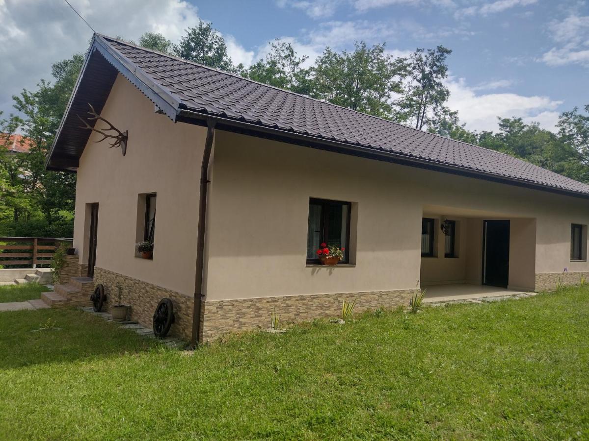 Apartamento Casa Radu Novaci-Străini Exterior foto
