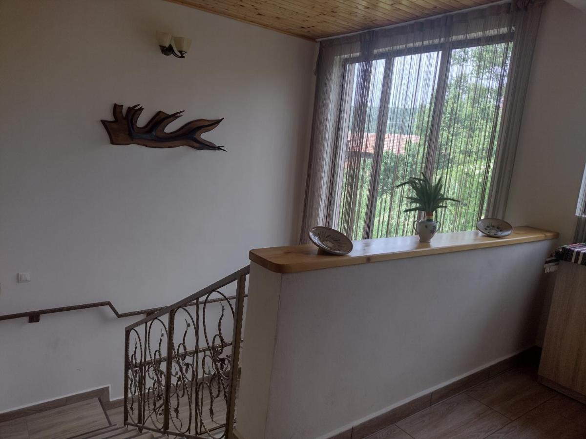 Apartamento Casa Radu Novaci-Străini Exterior foto