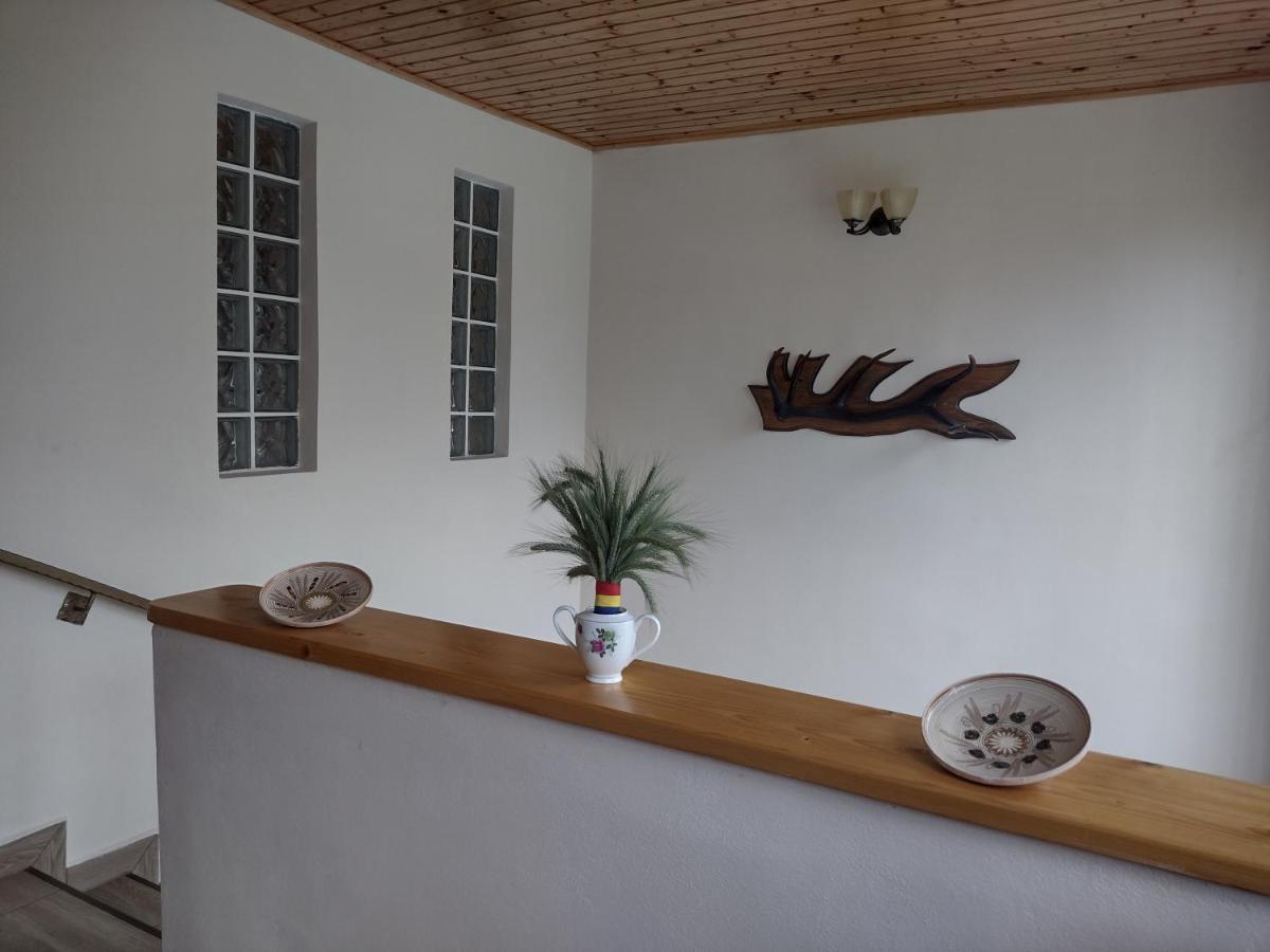 Apartamento Casa Radu Novaci-Străini Exterior foto
