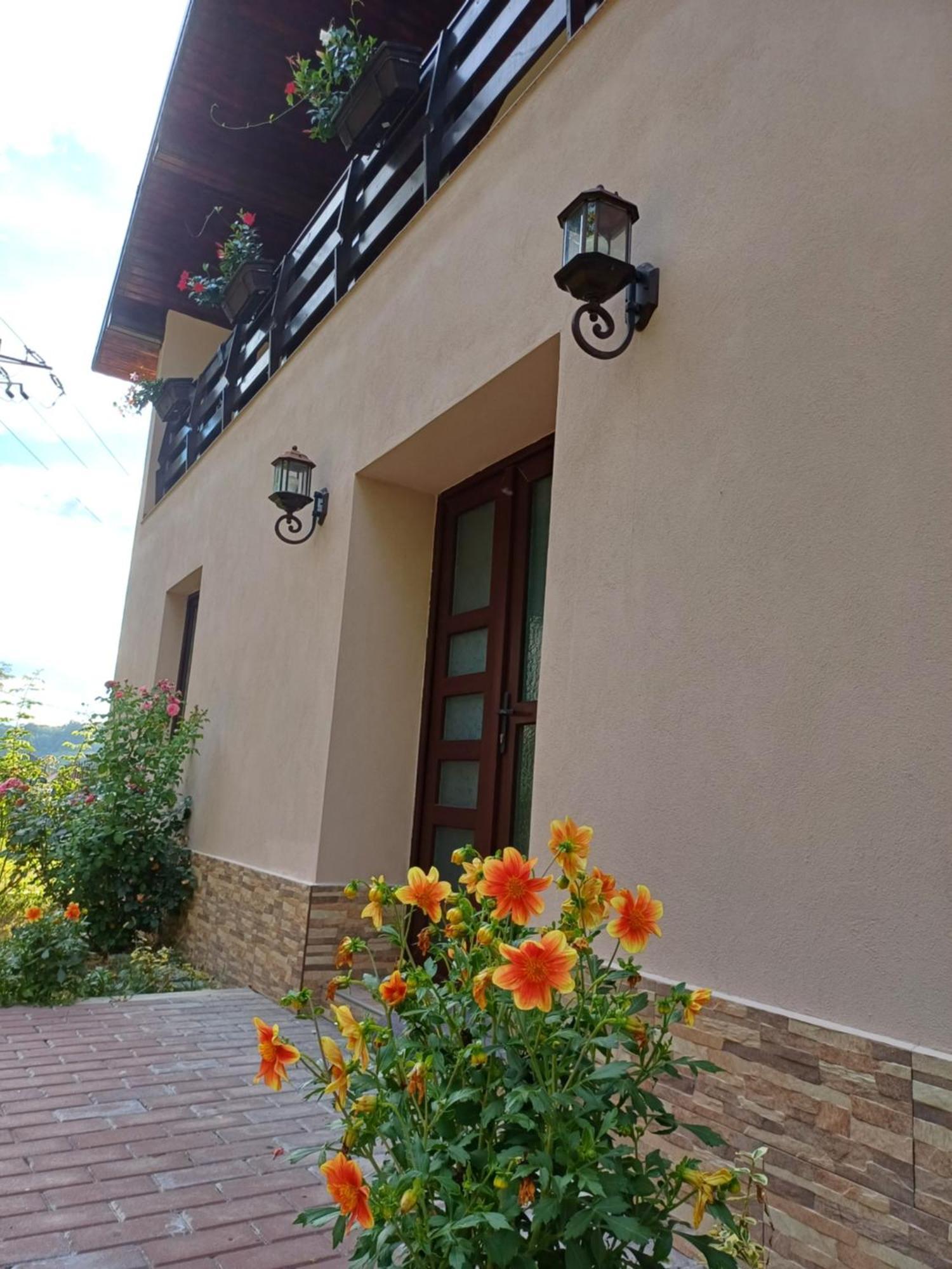 Apartamento Casa Radu Novaci-Străini Exterior foto