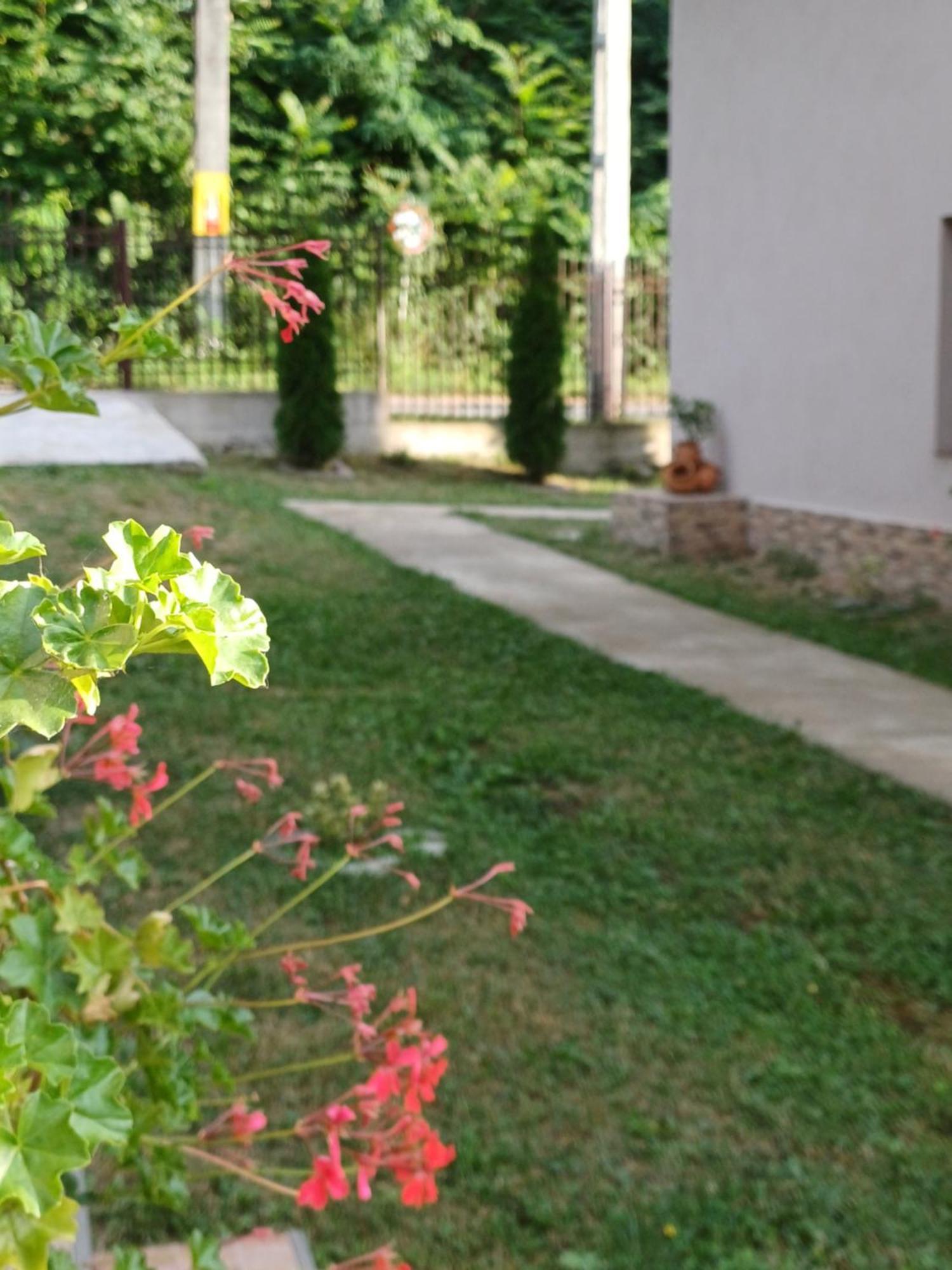 Apartamento Casa Radu Novaci-Străini Exterior foto