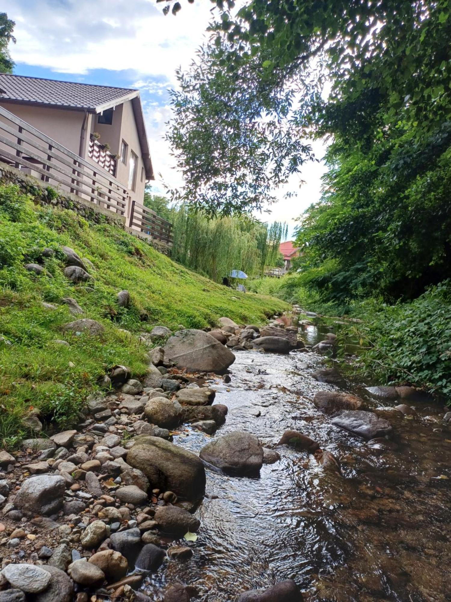 Apartamento Casa Radu Novaci-Străini Exterior foto