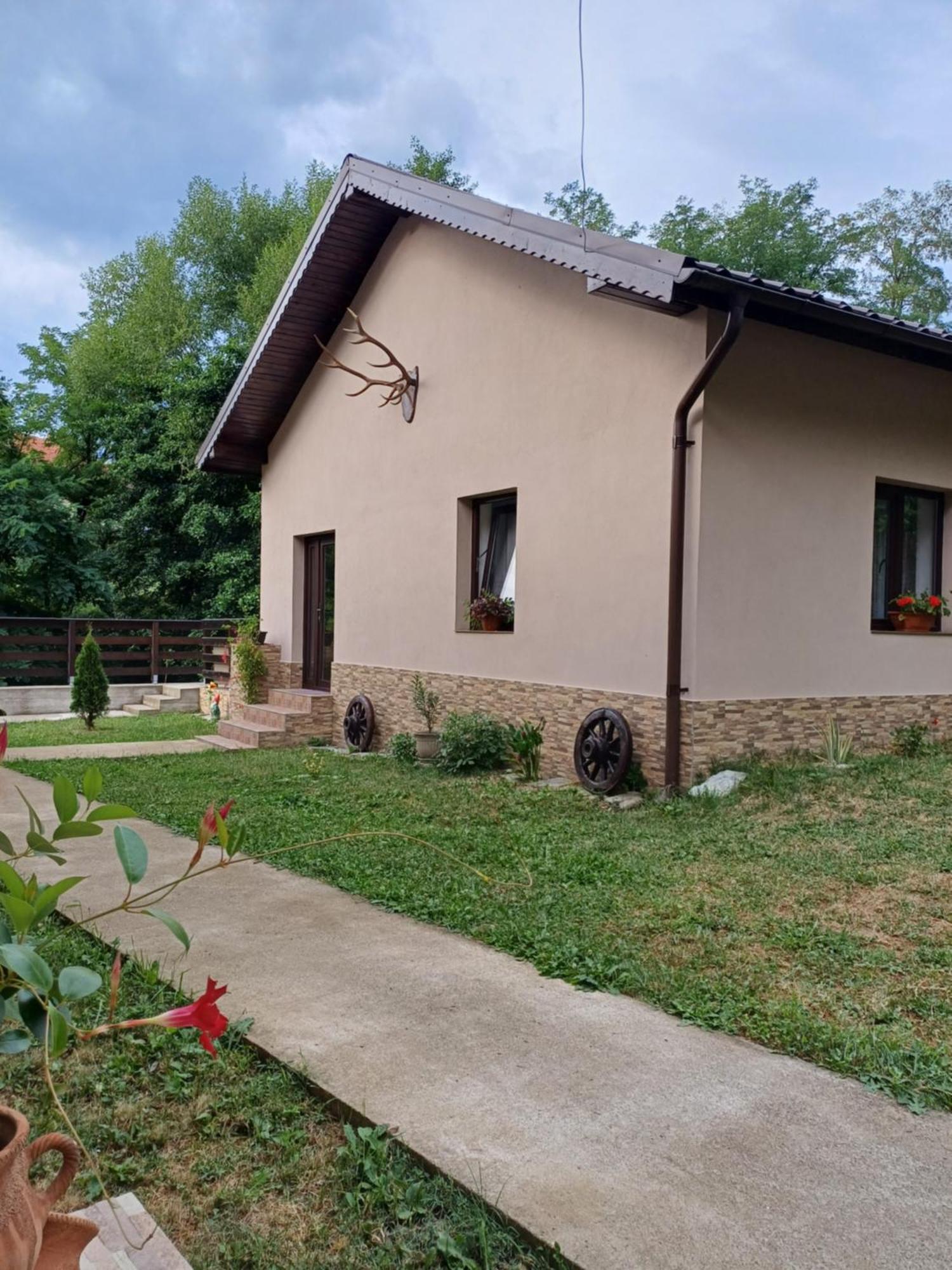 Apartamento Casa Radu Novaci-Străini Exterior foto