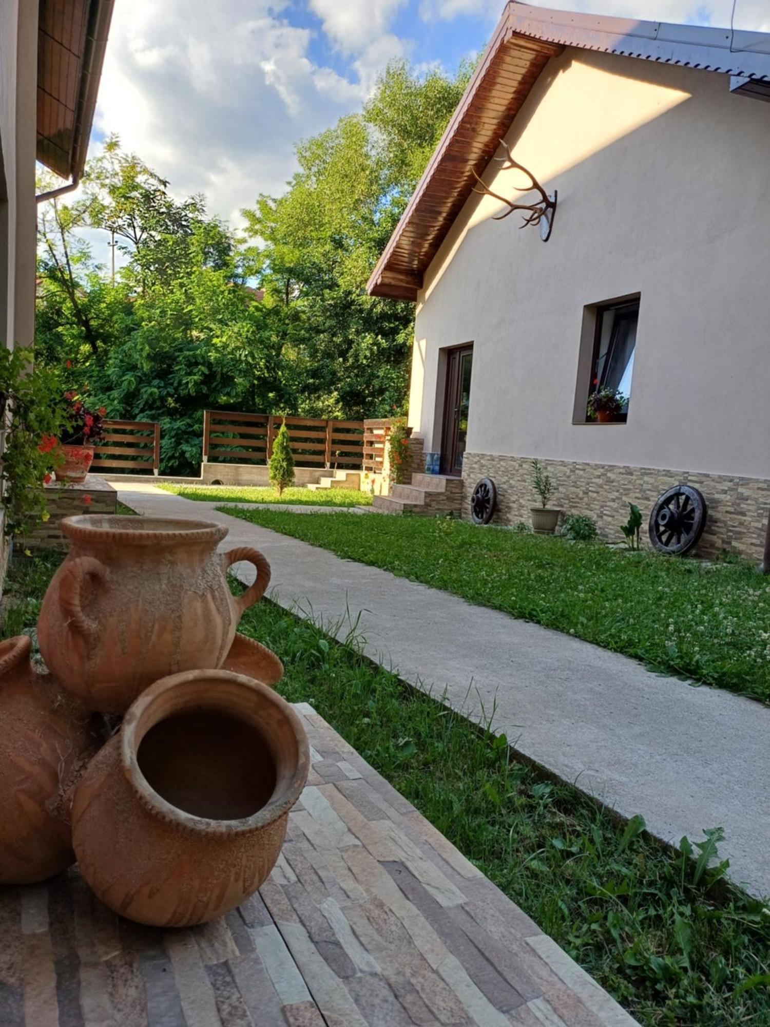 Apartamento Casa Radu Novaci-Străini Exterior foto