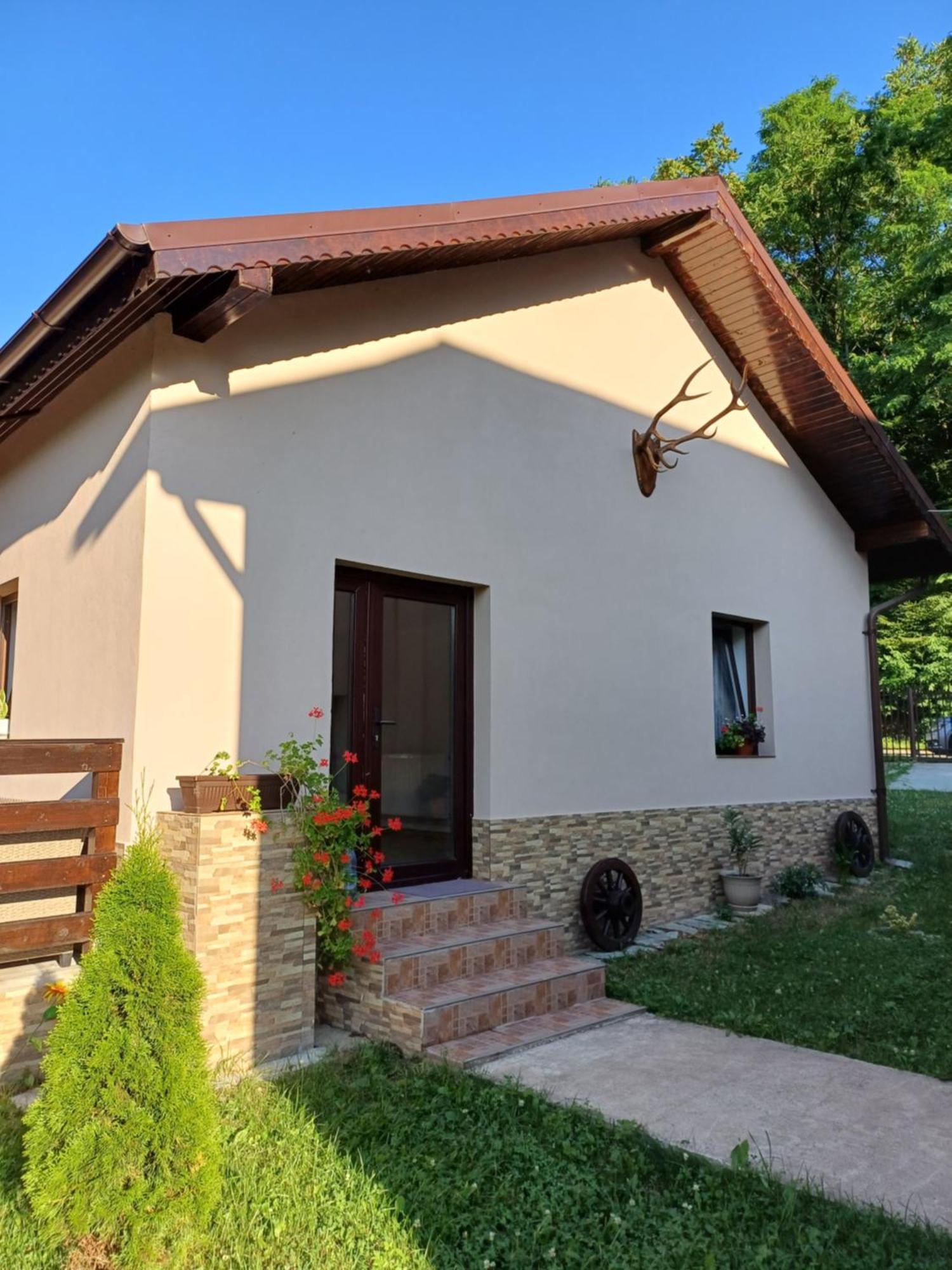 Apartamento Casa Radu Novaci-Străini Exterior foto